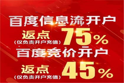 百度竞价策略：如何快速实现盈利的案例