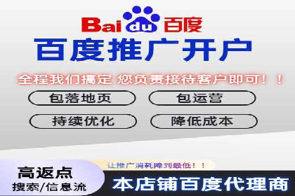 竞价推广代运营：成功案例解析